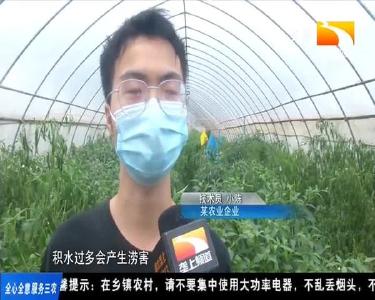 梅雨季节雨水多 蔬莱大棚管理要跟上