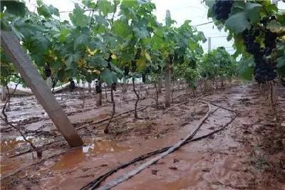 荆州迎入梅后第六场强降雨 23个乡镇101680人受灾