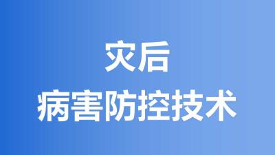 灾后病害防控技术