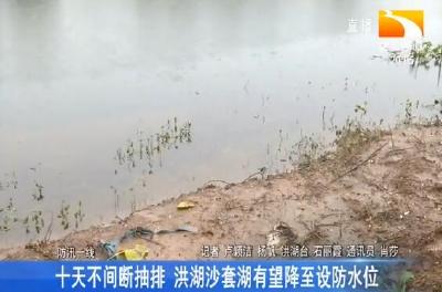 十天不间断抽排 洪湖沙套湖有望降至设防水位