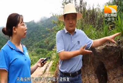 咱们村的第一书记