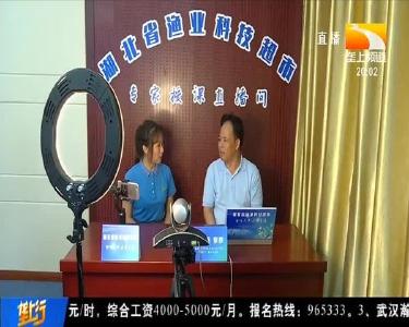 助力渔业提质增效 湖北省渔业科技超市今天上线