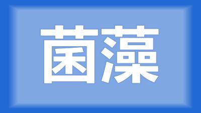 仙桃市陈师傅：虾塘的水一直内循环，还会不会缺氧？