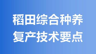 稻田综合种养复产技术要点