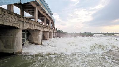 富河水位超历史最高 阳新防汛应急响应升至Ⅰ级