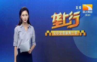 垄上行 2020-07-11