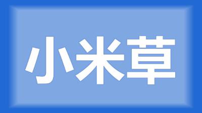 公安县曹师傅：种的小米草枯死了是什么原因？