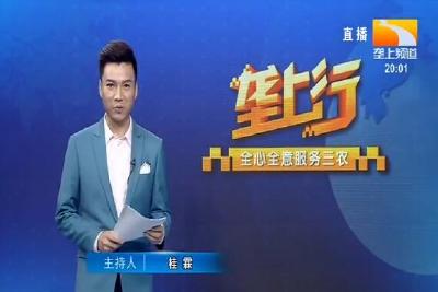 垄上行 2020-07-04