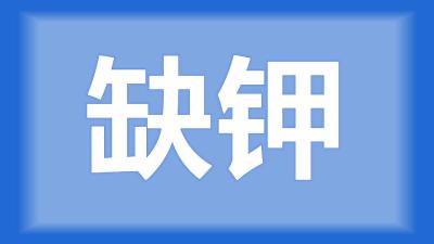 汉川市刘师傅：水草上有黄锈是什么原因？怎样处理？