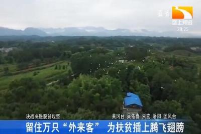 留住万只“外来客” 为扶贫插上腾飞翅膀
