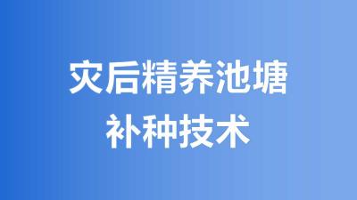 灾后精养池塘补种技术