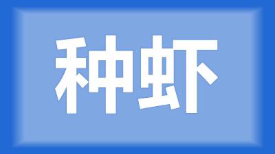 公安县张师傅：虾塘早上有一点臭、中午不臭，可以补种虾吗？