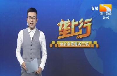 垄上行 2020-07-13