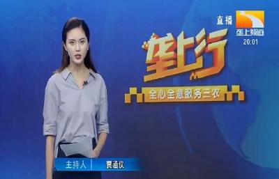 垄上行 2020-07-20