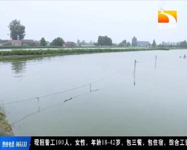 垄上行 2020-07-10