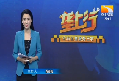 垄上行 2020-07-25