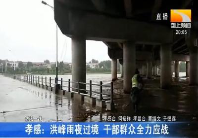 孝感：洪峰雨夜过境 干部群众全力应战