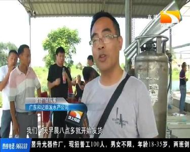 免费发放3250万尾鱼苗 荆州洪湖助力渔民抗灾赶本