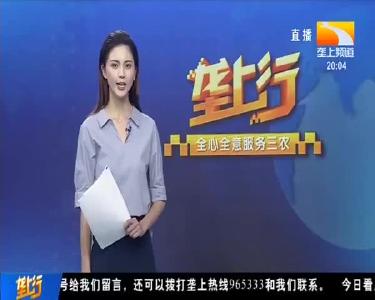 十年禁渔!武汉江夏92条渔船上岸集中拆解