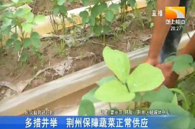 多措并举 荆州保障蔬菜正常供应
