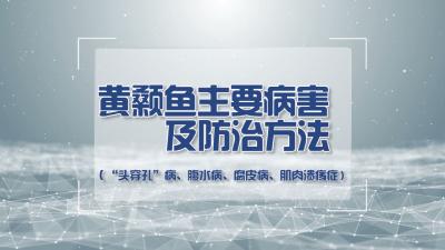 湖北省渔业科技超市：黄颡鱼主要病害及防治方法