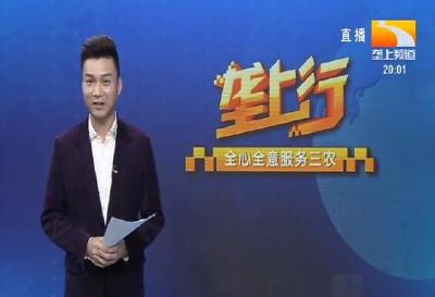 垄上行 2020-08-10