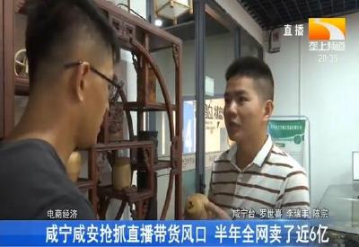 咸宁咸安抢抓直播带货风口 半年全网卖了近6亿