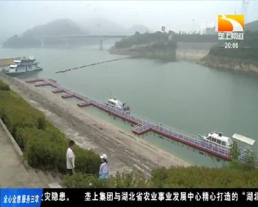 垄上行 2020-08-11