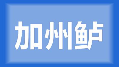 监利县程师傅：加州鲈鱼塘口每天有鱼死，应怎么办？