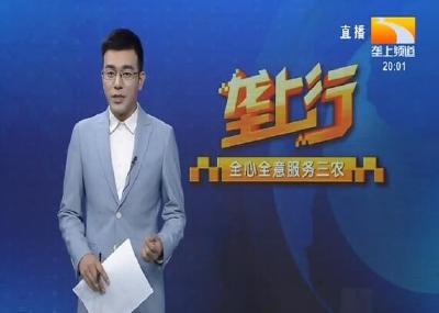 垄上行 2020-08-07