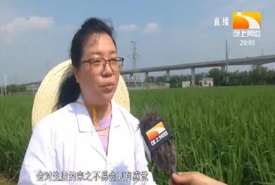 农业专家化身劳动副校长 开讲武汉首节劳动课