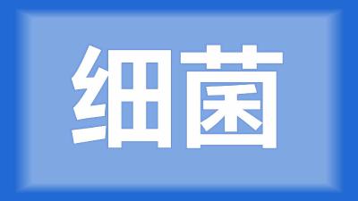 仙桃市陈师傅：鳜鱼鳃盖发红，死亡时嘴张大、烂尾，是怎么回事？