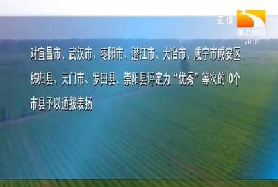 每个奖励一百万元! 这十个市县全省通报表扬