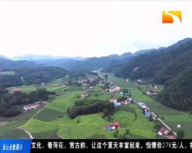 凉资源变身“热”产业 避暑经济助农增收