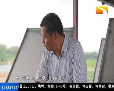 集装箱养“跑步鱼” 高效又环保