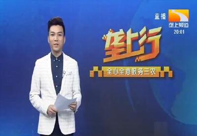 垄上行 2020-07-31