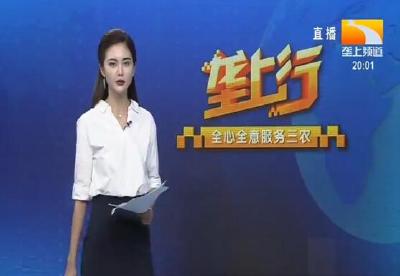 垄上行 2020-08-13