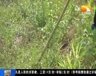 湖北终止防汛Ⅳ级应急响应