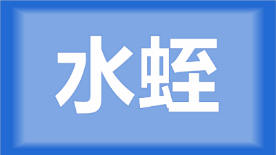 荆州市石首市曾师傅：之前水蛭养殖很火，现在行情怎样？可不可以入手养殖？