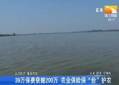 39万保费获赔200万 农业保险保“价”护农
