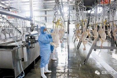 武汉3年内将在这些区建10家大型畜禽屠宰企业