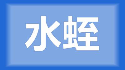 沙阳县小敏师傅：水蛭有硬块，过几天就死了是什么病？怎样治？