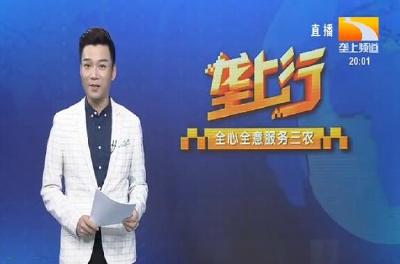 垄上行 2020-08-24