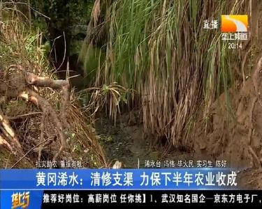 黄冈浠水：清修支渠 力保下半年农业收成