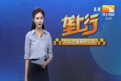 垄上行 2020-08-05