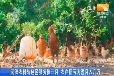 武汉农科院包区服务仅三月 农户扭亏为盈月入几万