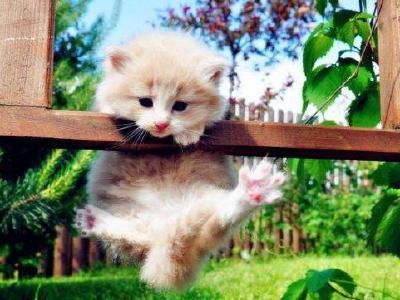 6000多人被骗几亿元！公安部发出提醒