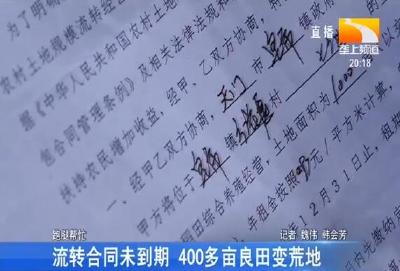 流转合同未到期 400多亩良田变荒地