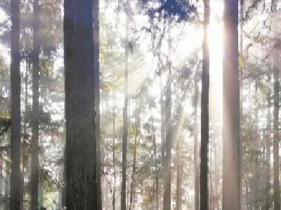 “心大”女生误入野兽出没原始森林 被林场职工徒步搜山找回