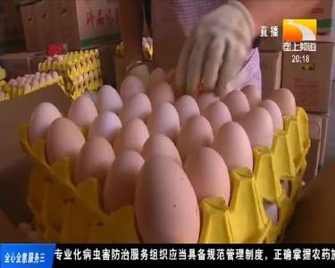 黄冈浠水：半个月 鸡蛋价每斤涨了一块多